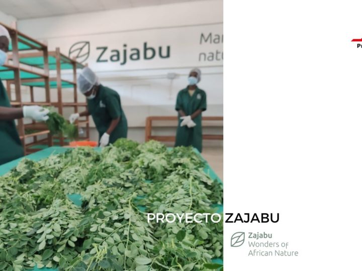 Proyecto solidario Zajabu